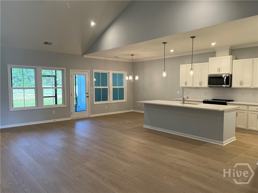 668 Blue Moon Crossing