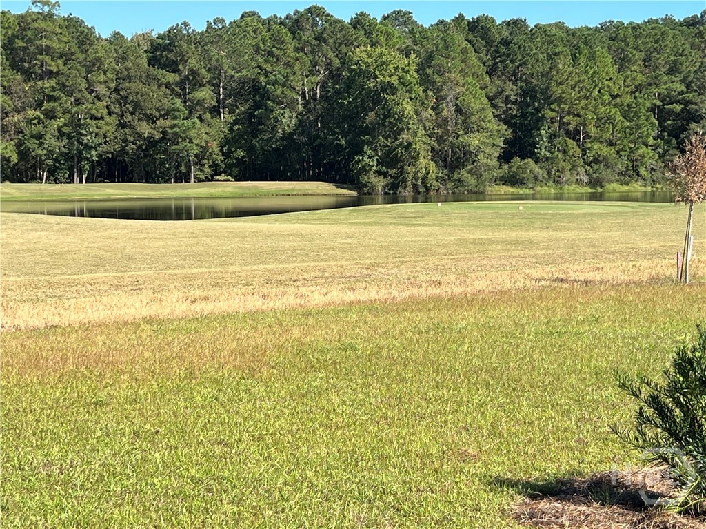 668 Blue Moon Crossing