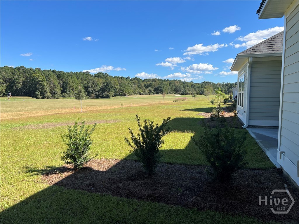 668 Blue Moon Crossing