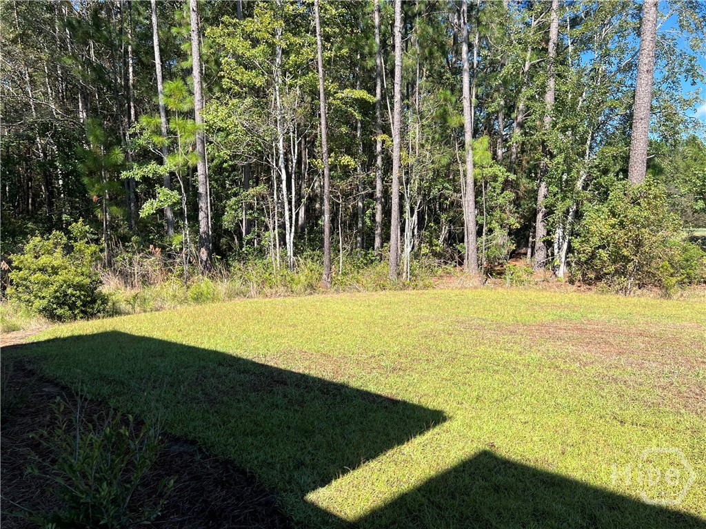 668 Blue Moon Crossing