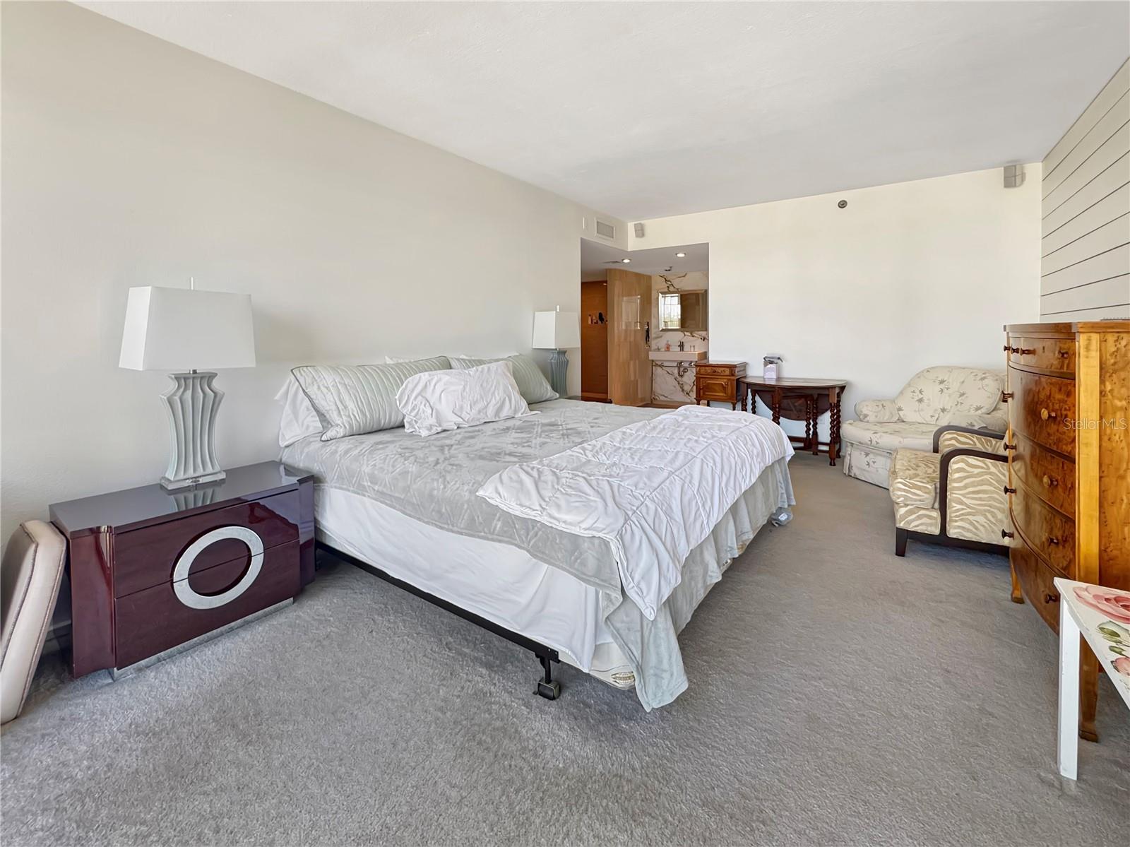 3301 BAYSHORE BLVD #2003D