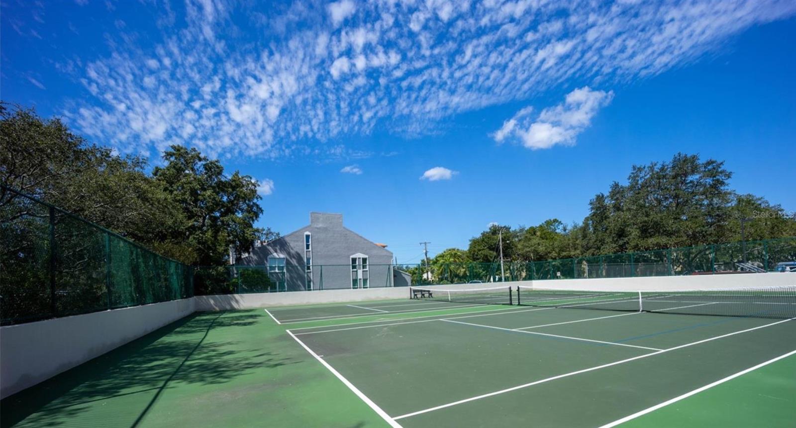 3301 BAYSHORE BLVD #2003D