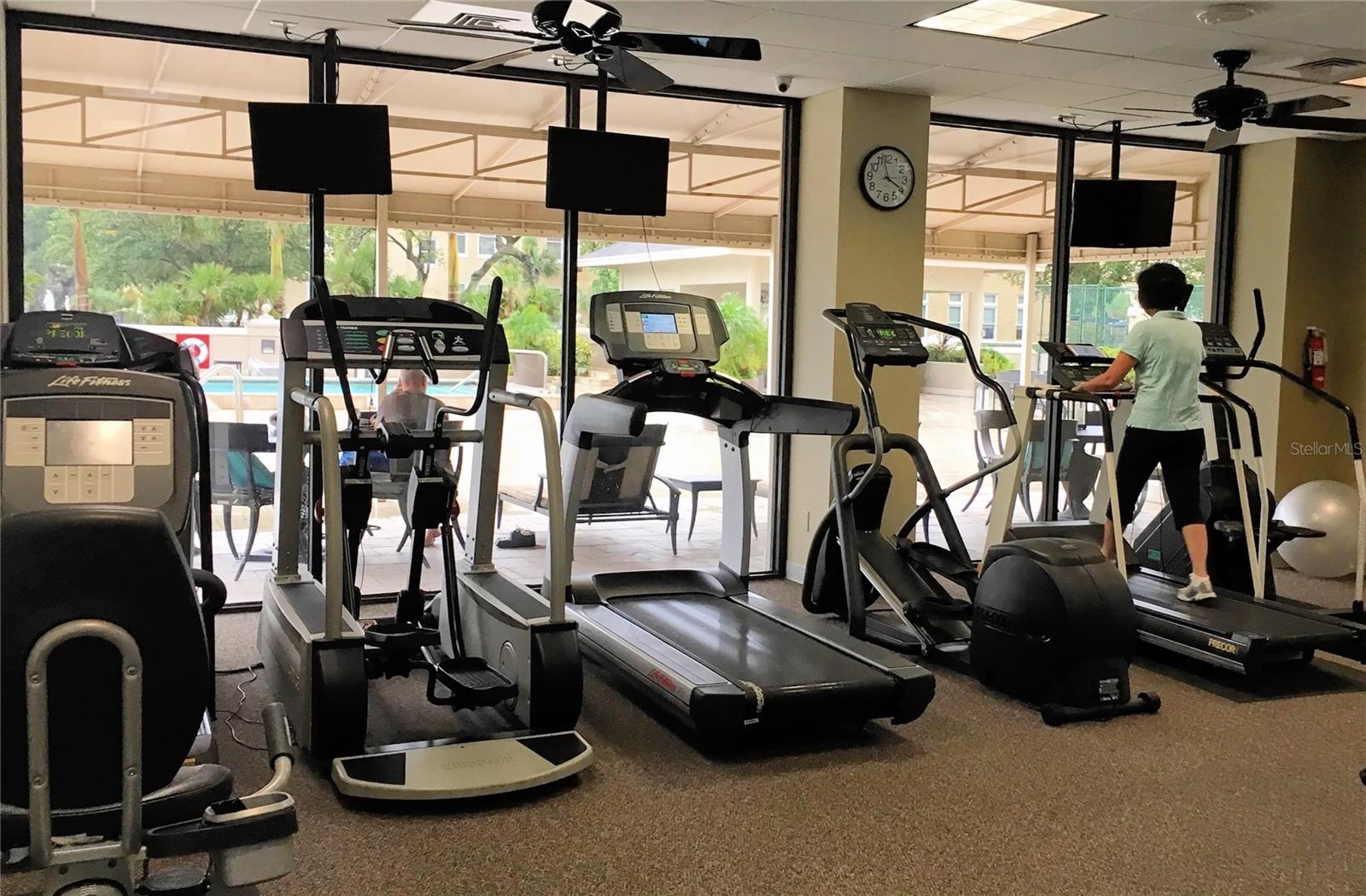 3301 BAYSHORE BLVD #2003D