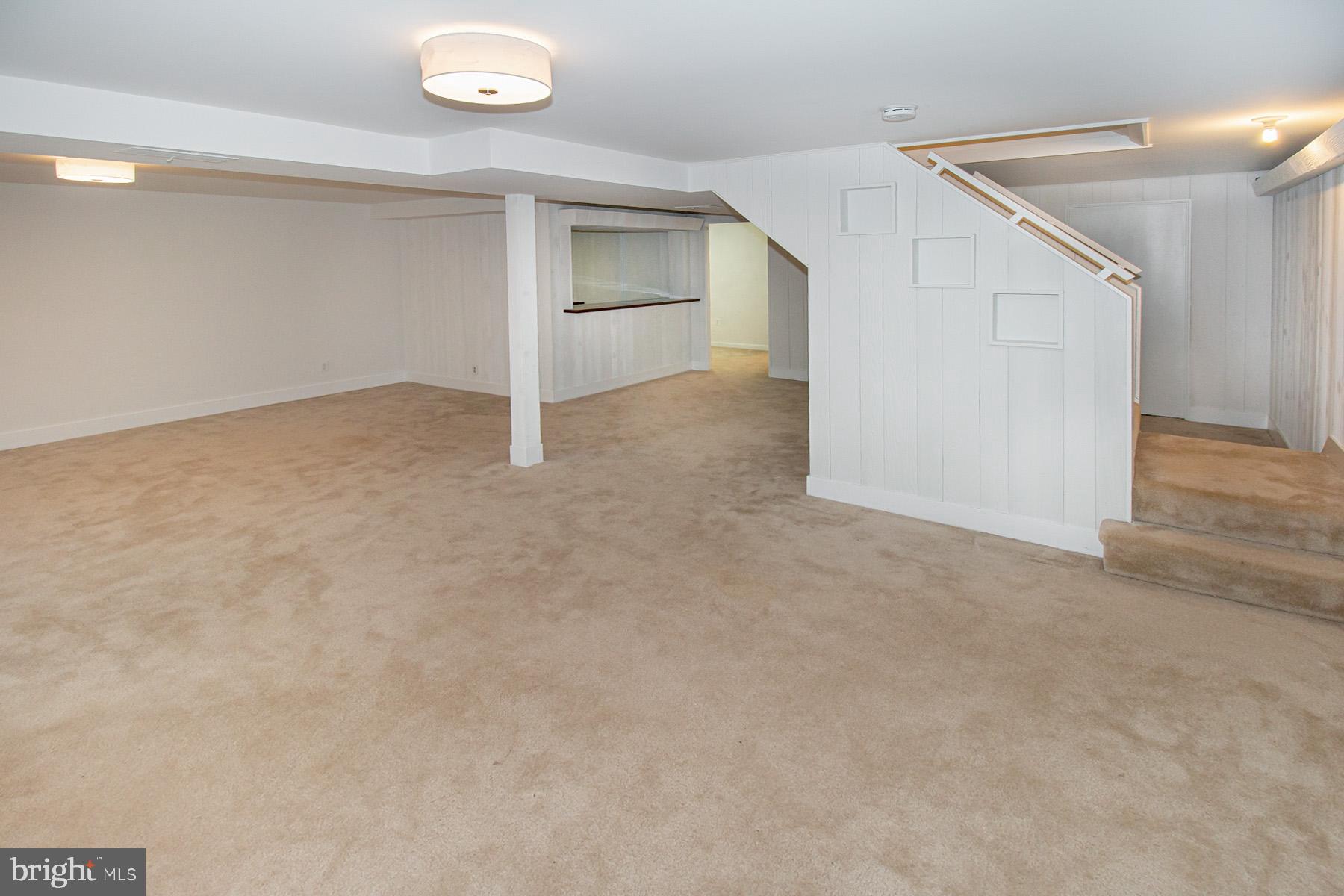 6541 WILLIAMSBURG BLVD