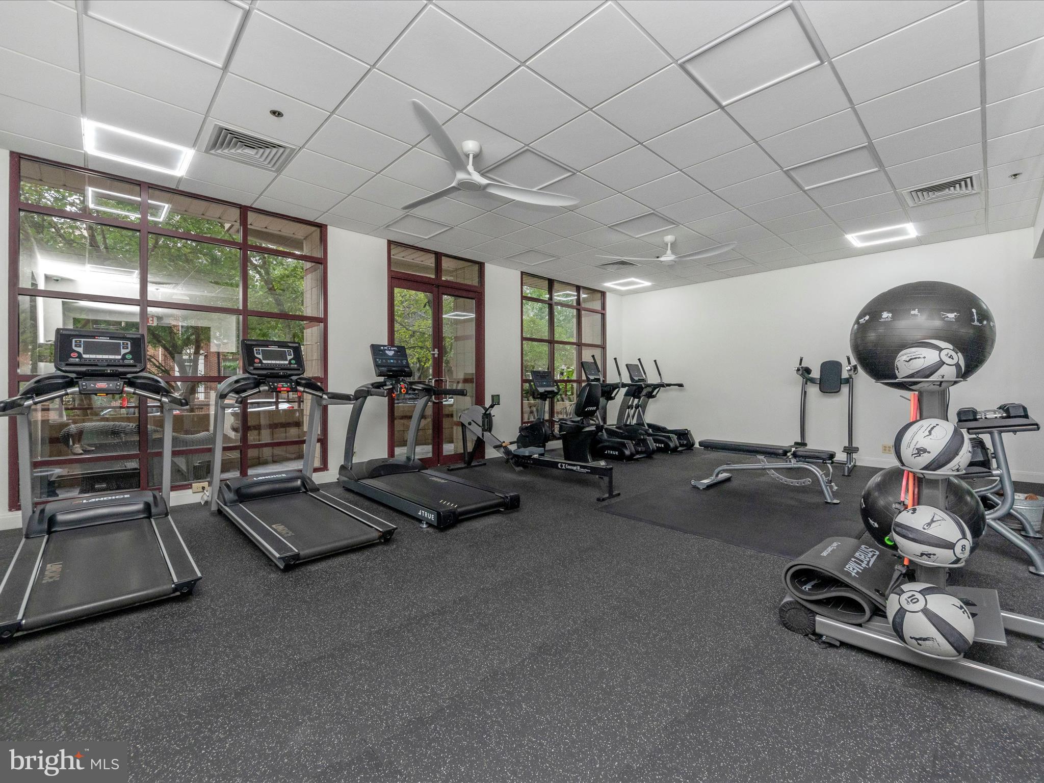 2400 Clarendon Blvd #204