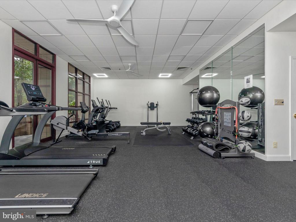 2400 Clarendon Blvd #204