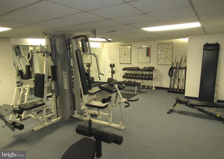 4501 ARLINGTON BLVD #121