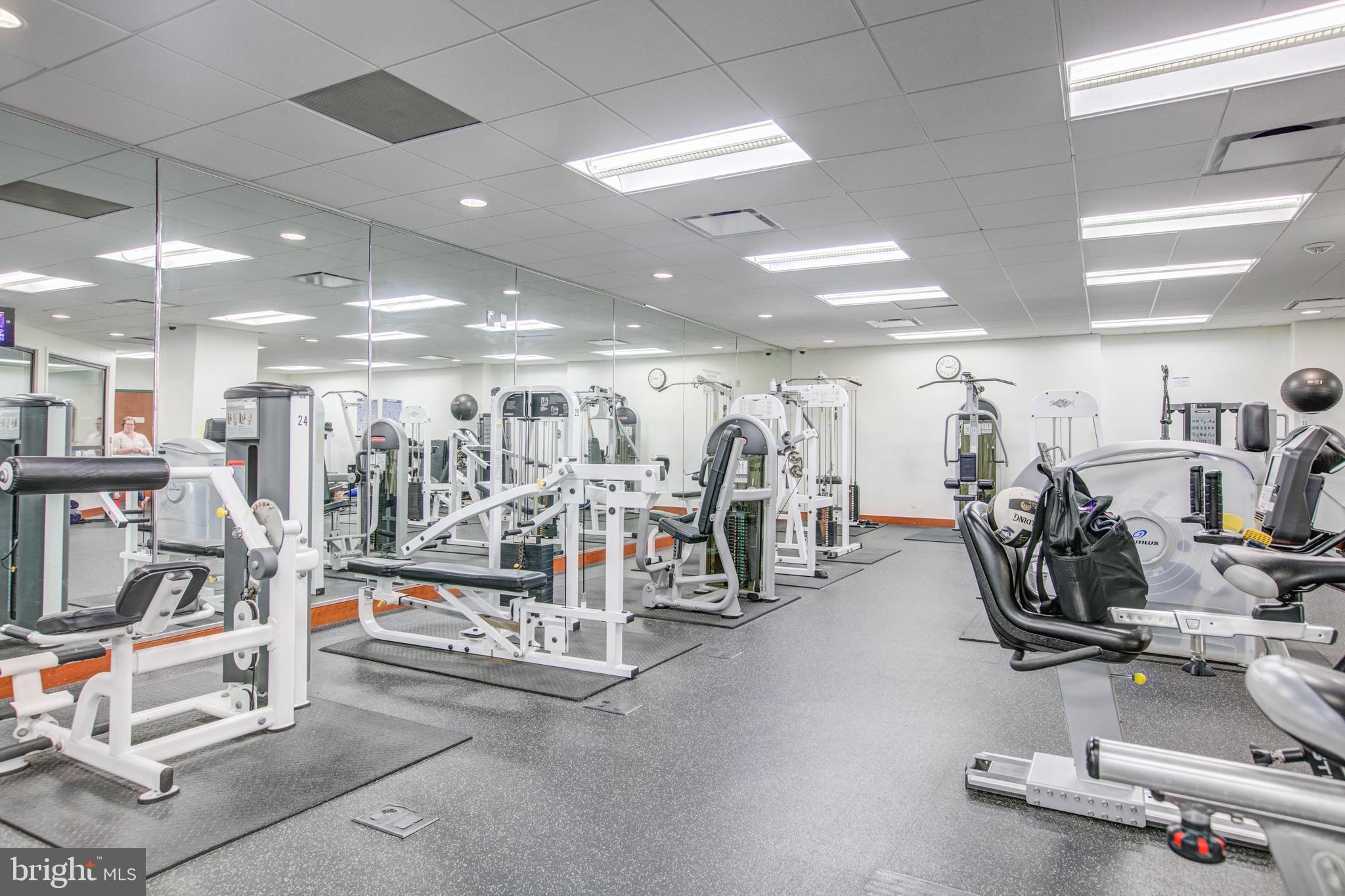 203 Yoakum Pkwy #1506