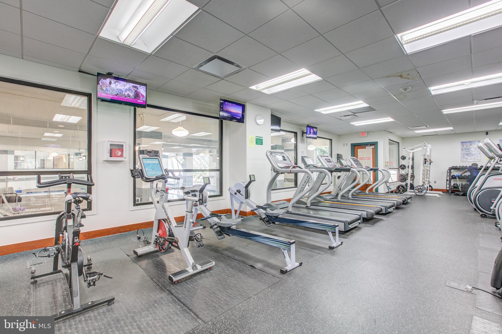 203 Yoakum Pkwy #1506