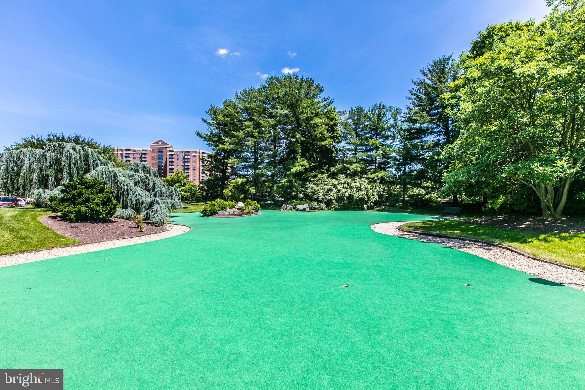 203 Yoakum Pkwy #1506