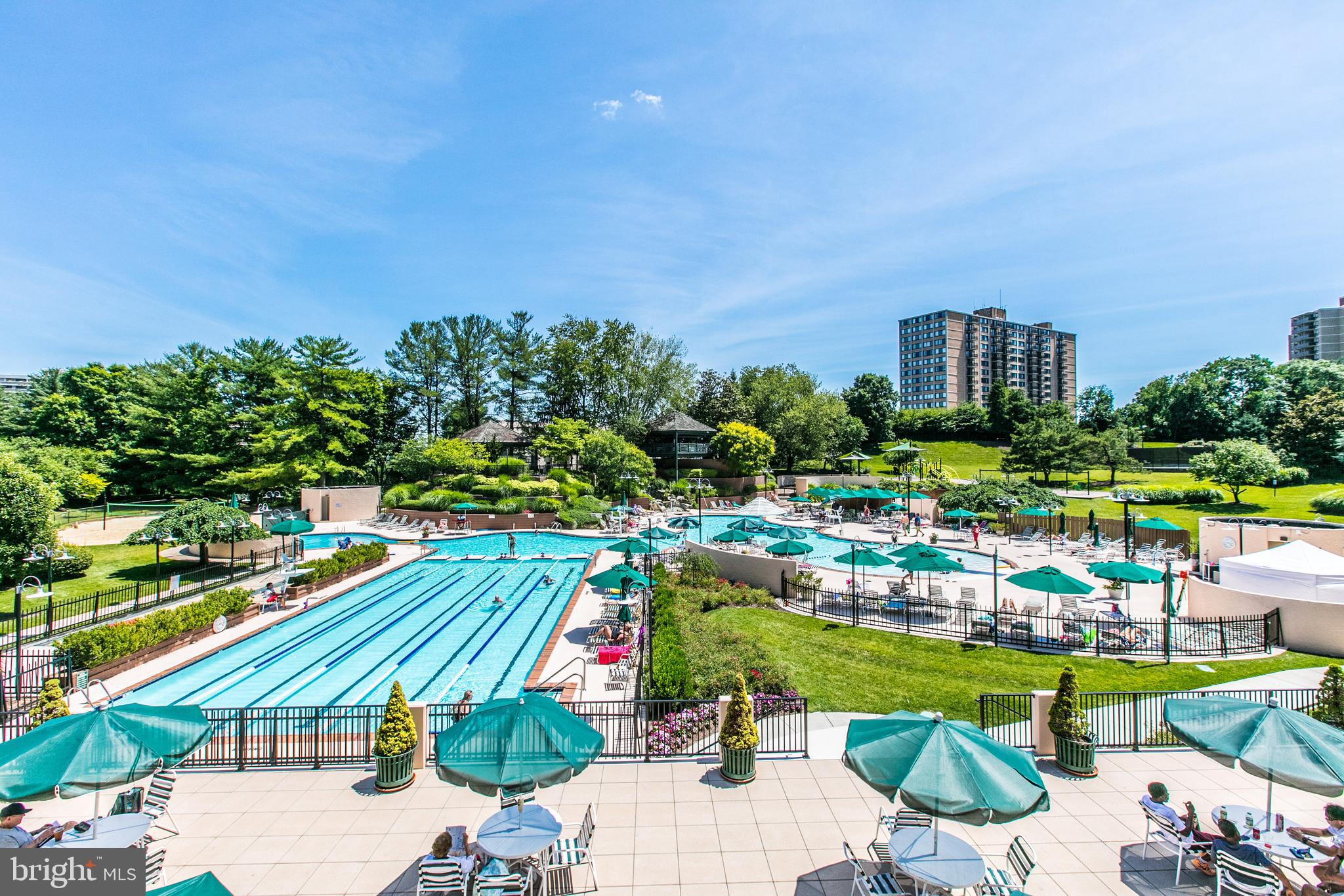 203 Yoakum Pkwy #1506