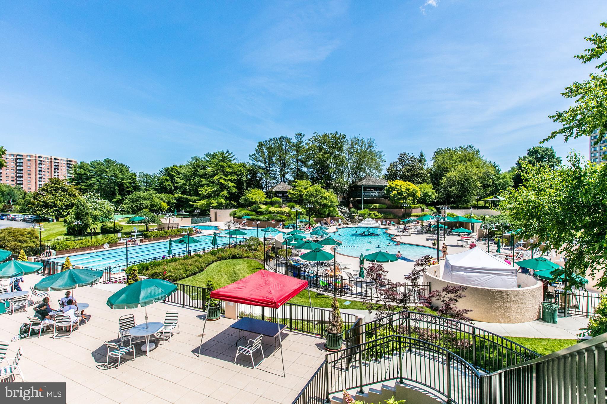 203 Yoakum Pkwy #1506