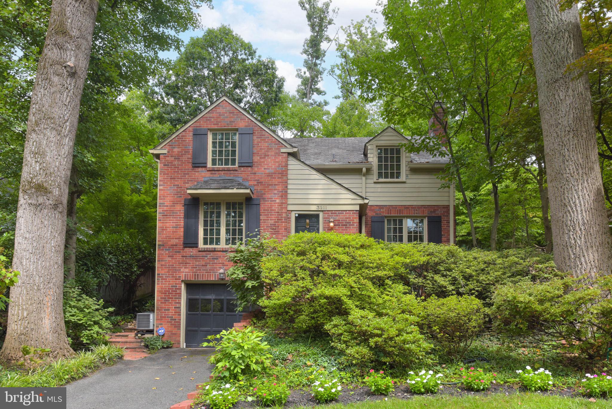 3211 Old Dominion Blvd