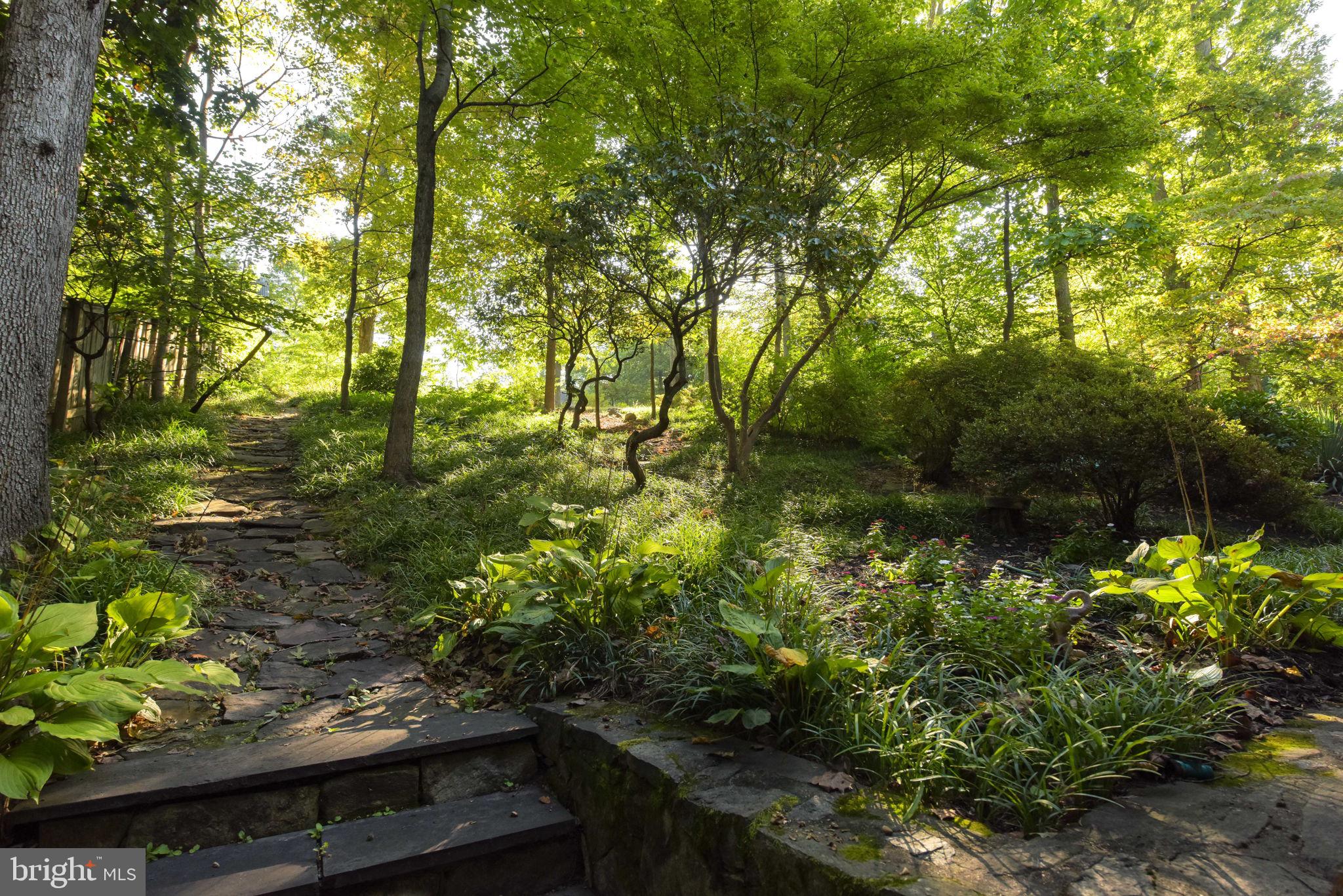 3211 Old Dominion Blvd