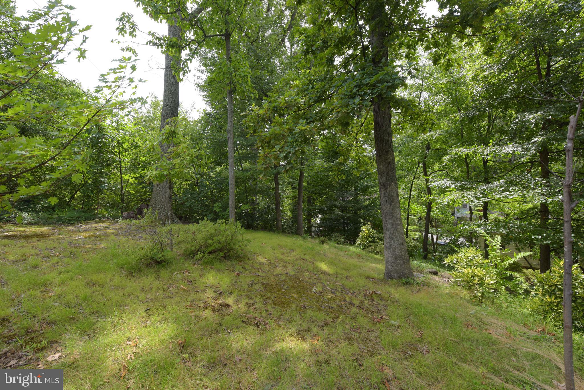 3211 Old Dominion Blvd