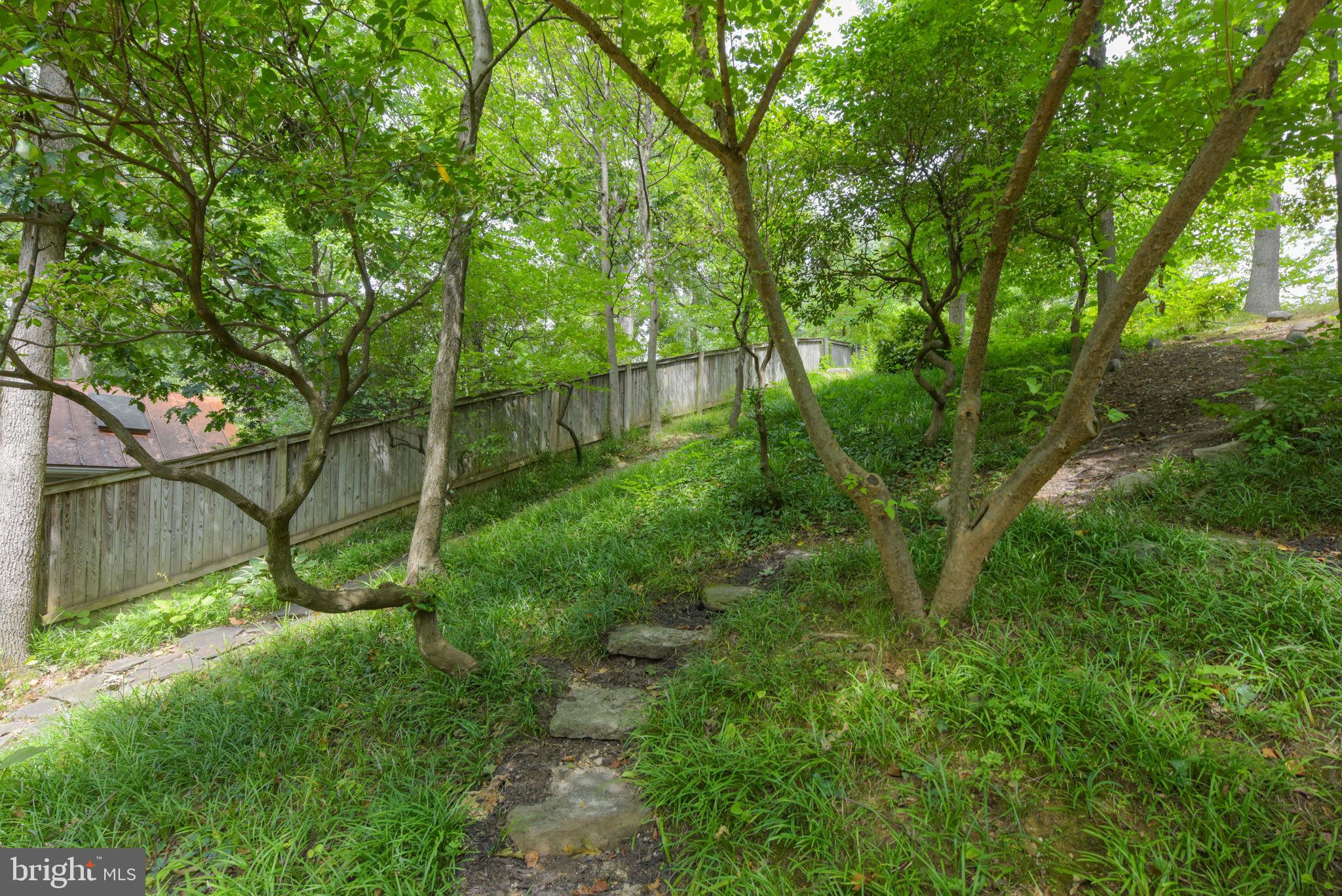 3211 Old Dominion Blvd