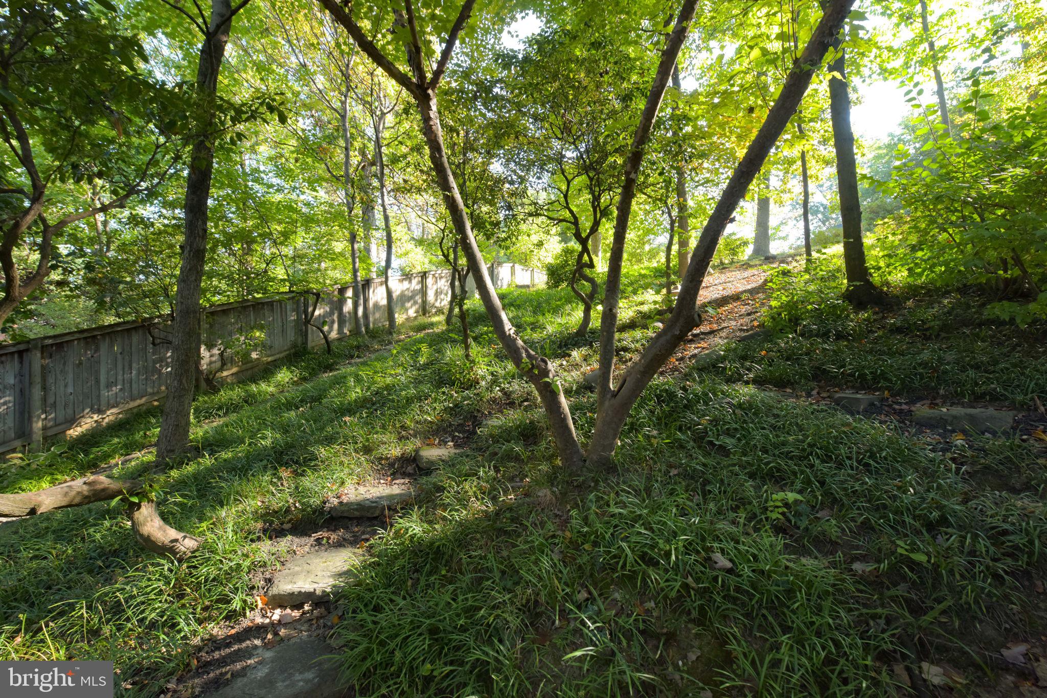 3211 Old Dominion Blvd