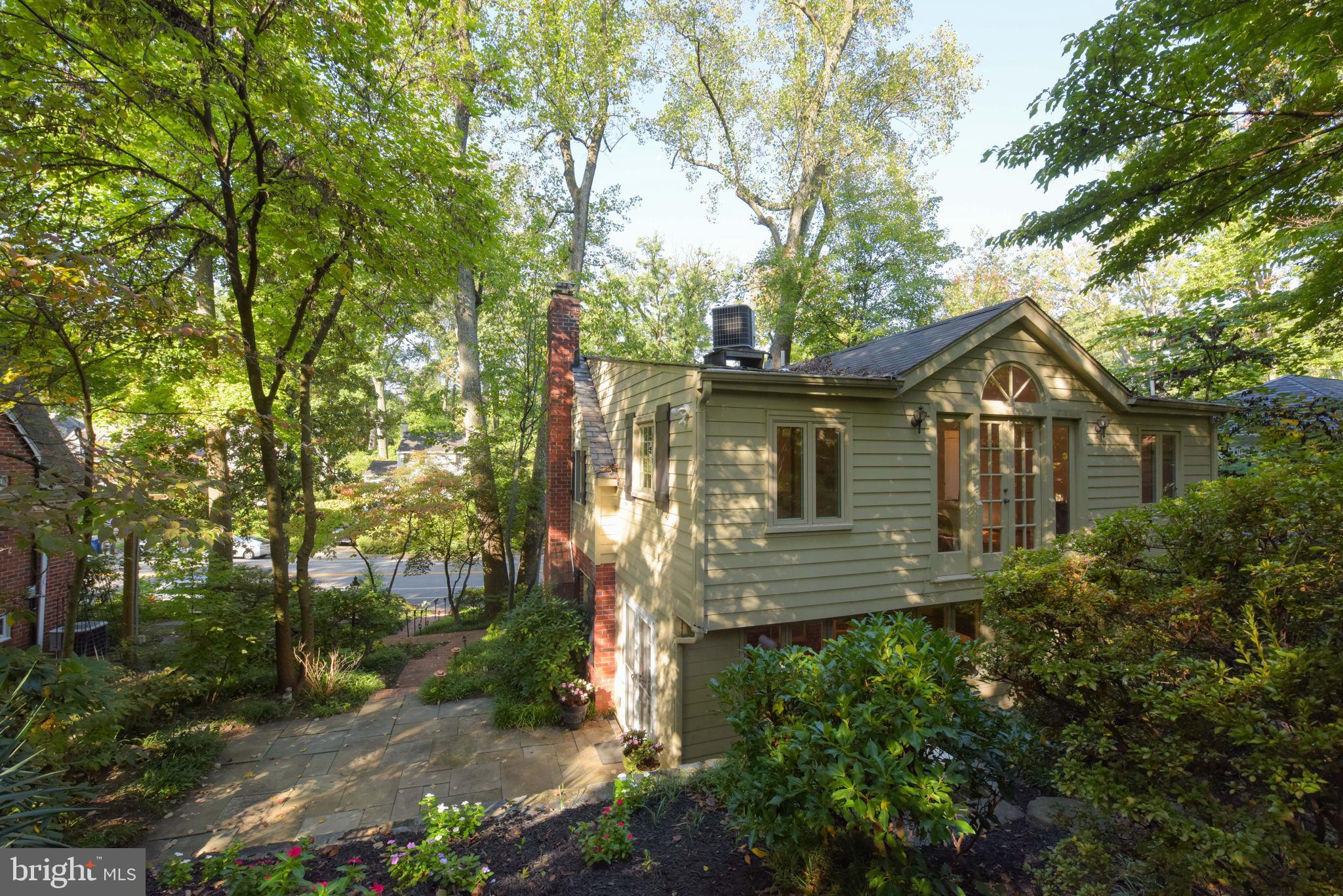 3211 Old Dominion Blvd