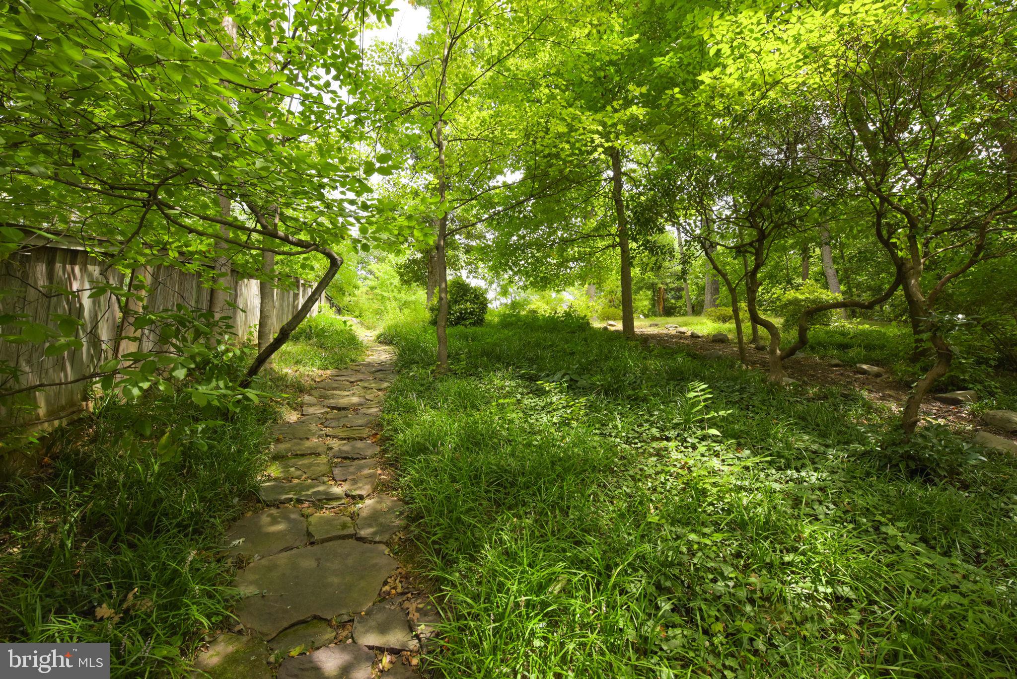 3211 Old Dominion Blvd