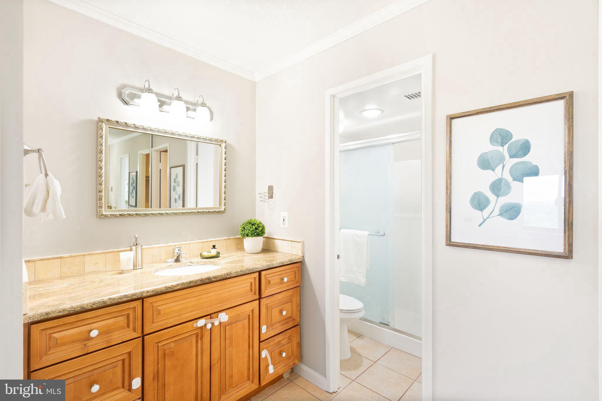 205 Yoakum Pkwy #1508