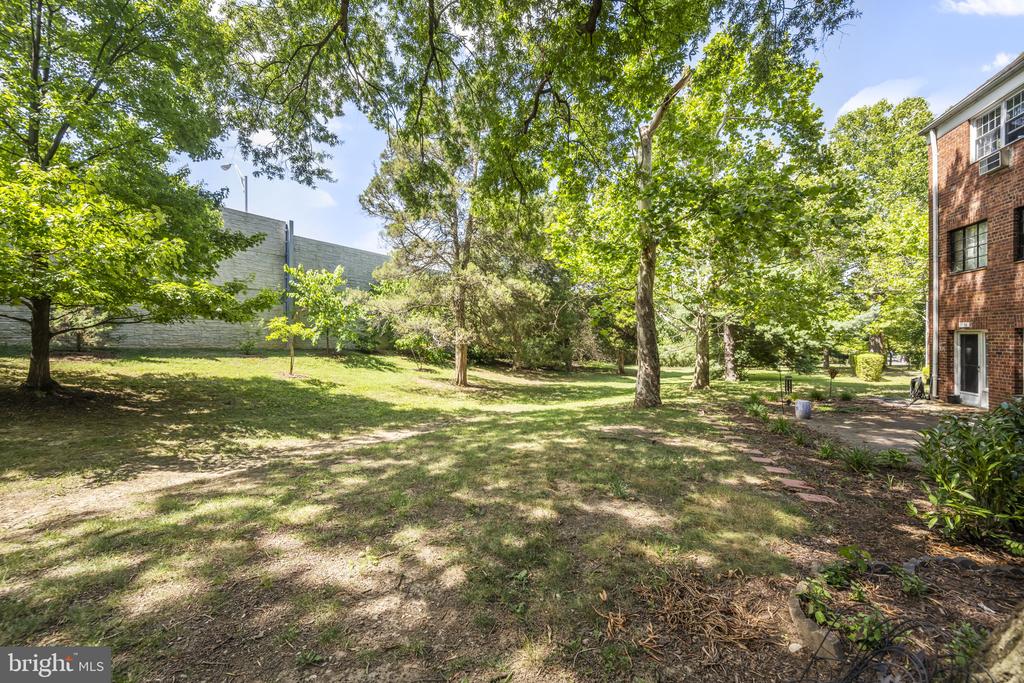 3580 Martha Custis Dr