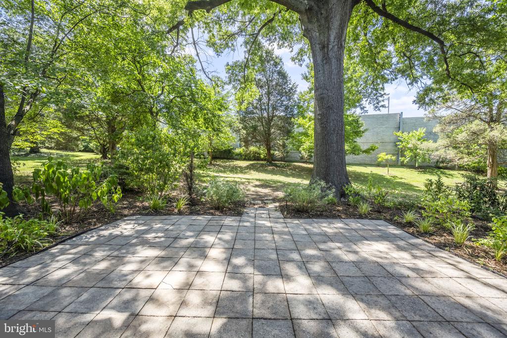 3580 Martha Custis Dr