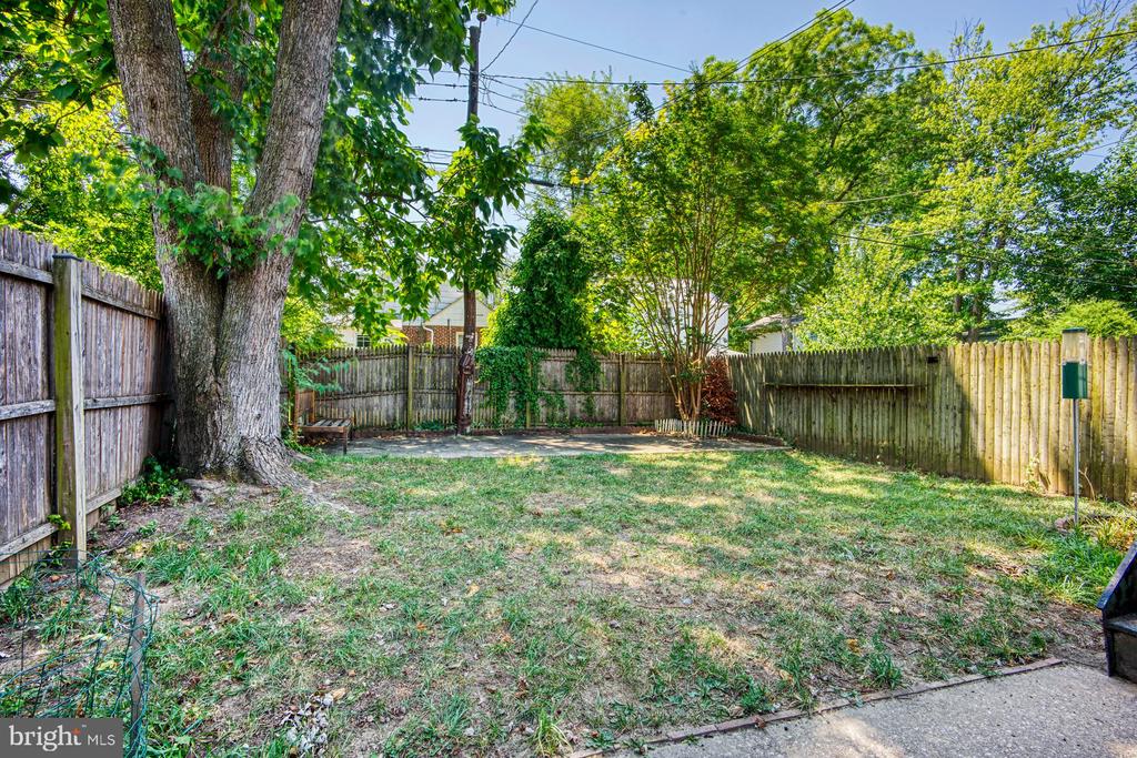 203 Adams Ave