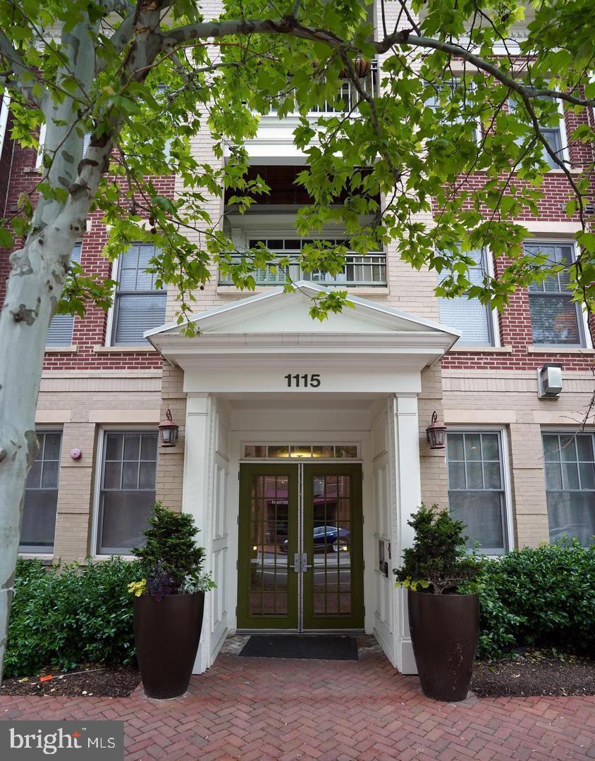 1115 CAMERON STREET 211