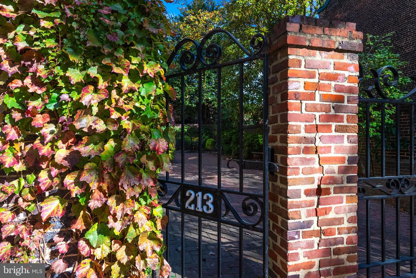 213 CAMERON ST