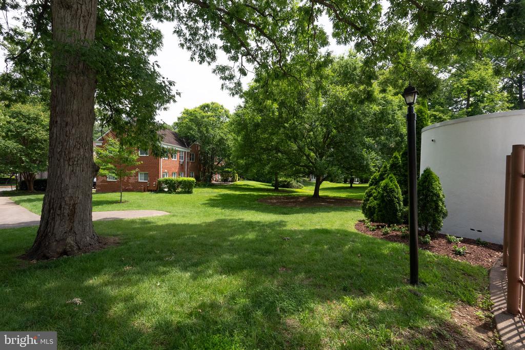 3308 Coryell Ln