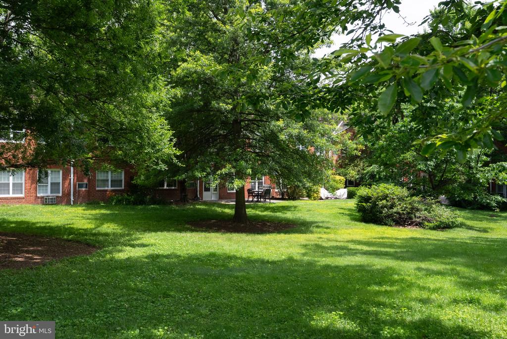 3308 Coryell Ln