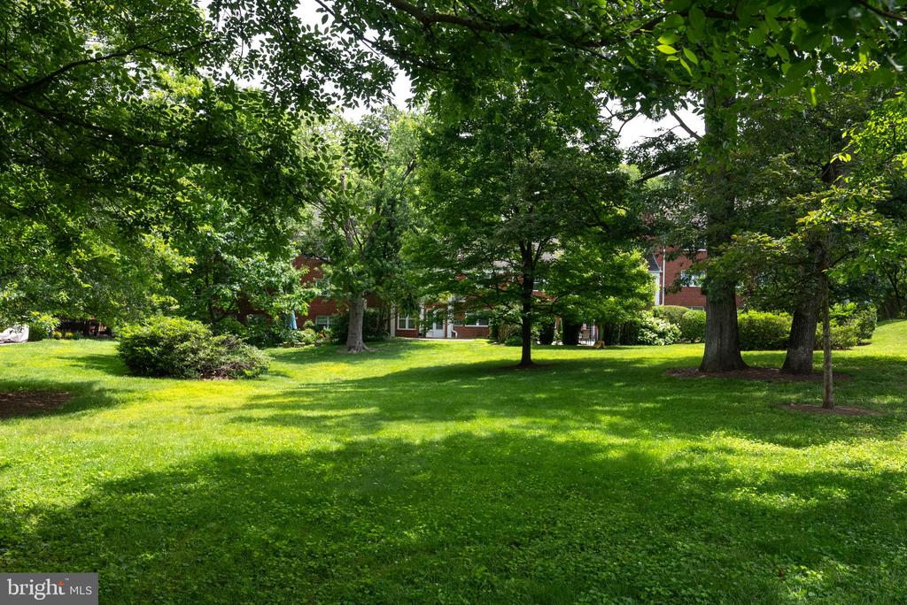 3308 CORYELL LN