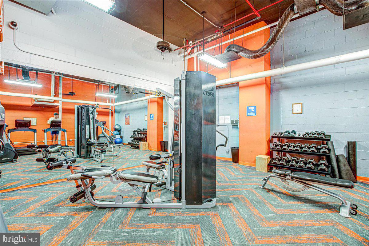 1225 MARTHA CUSTIS DRIVE 715