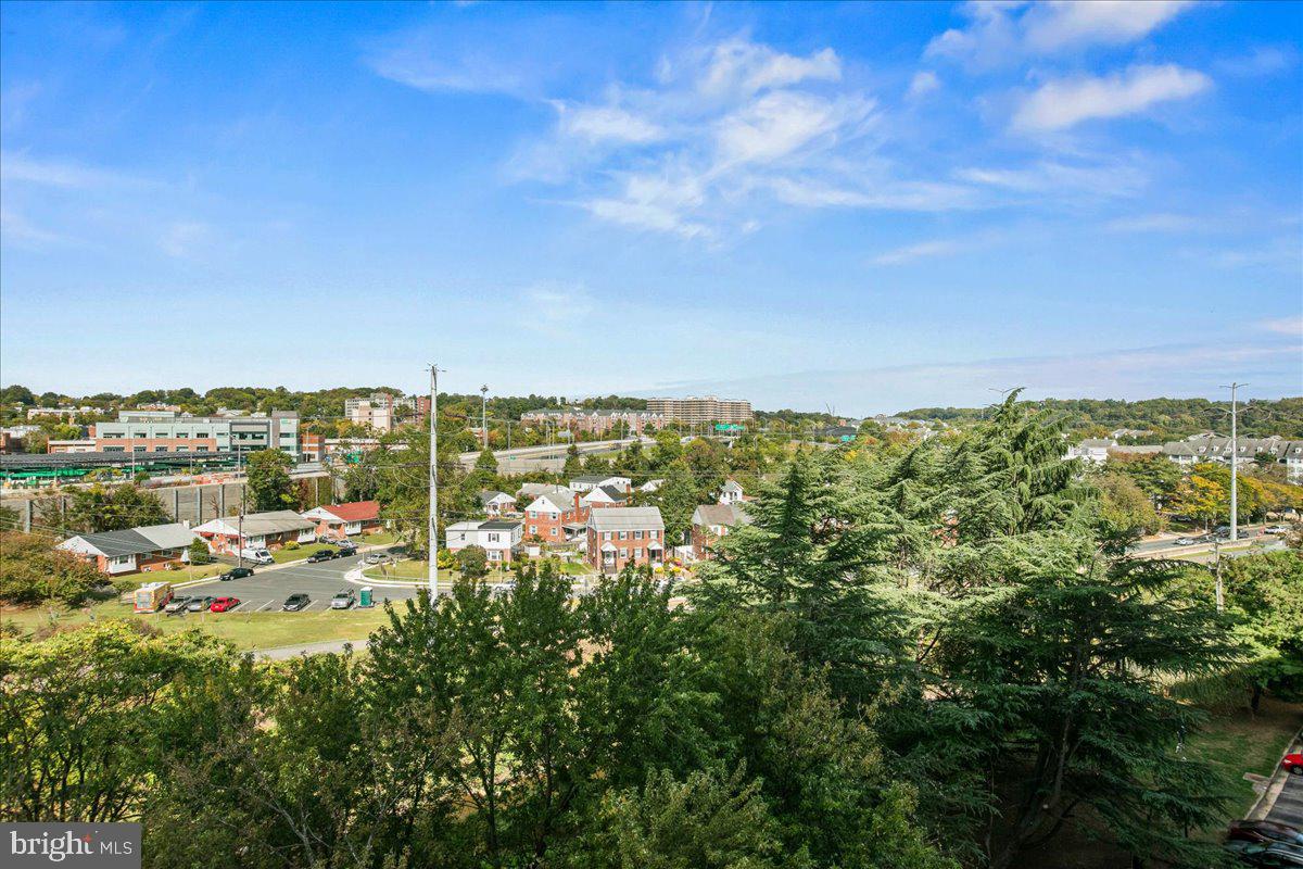 1225 MARTHA CUSTIS DRIVE 715