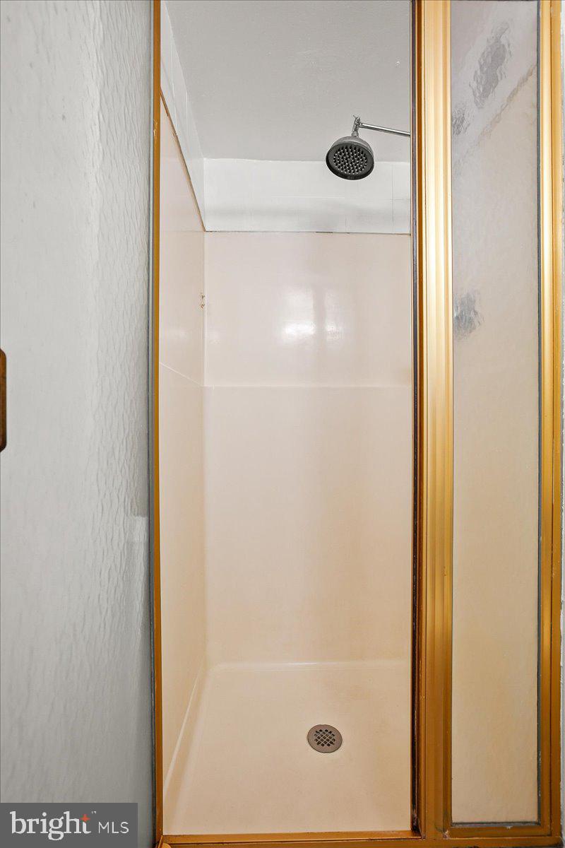 203 YOAKUM PARKWAY 519