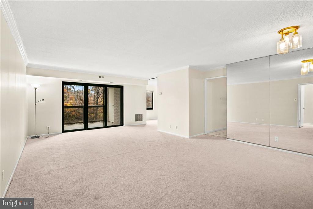 203 YOAKUM PARKWAY 519