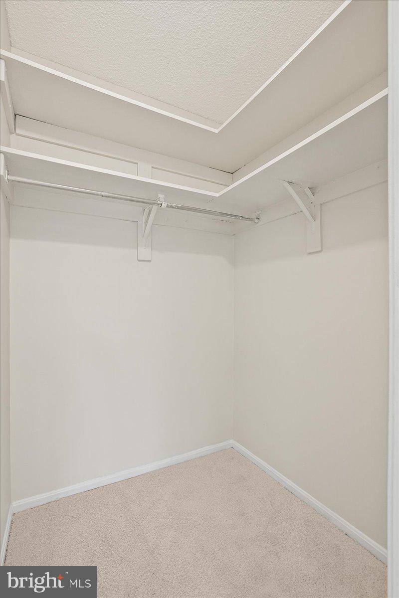 203 YOAKUM PARKWAY 519
