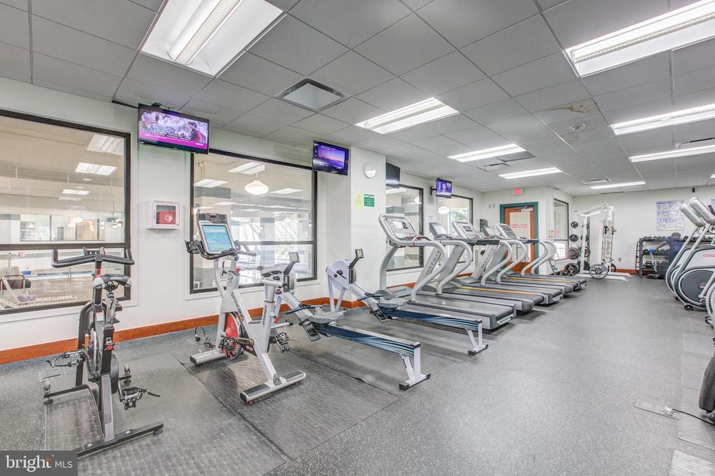 203 YOAKUM PARKWAY 519