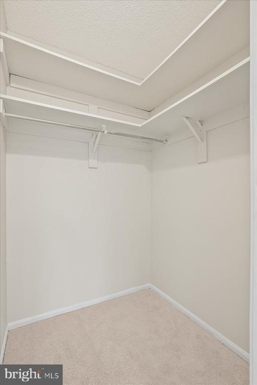 203 YOAKUM PARKWAY 519