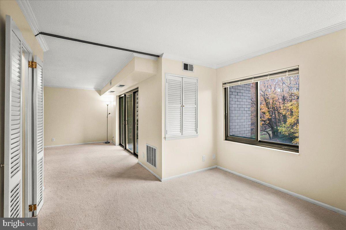 203 YOAKUM PARKWAY 519