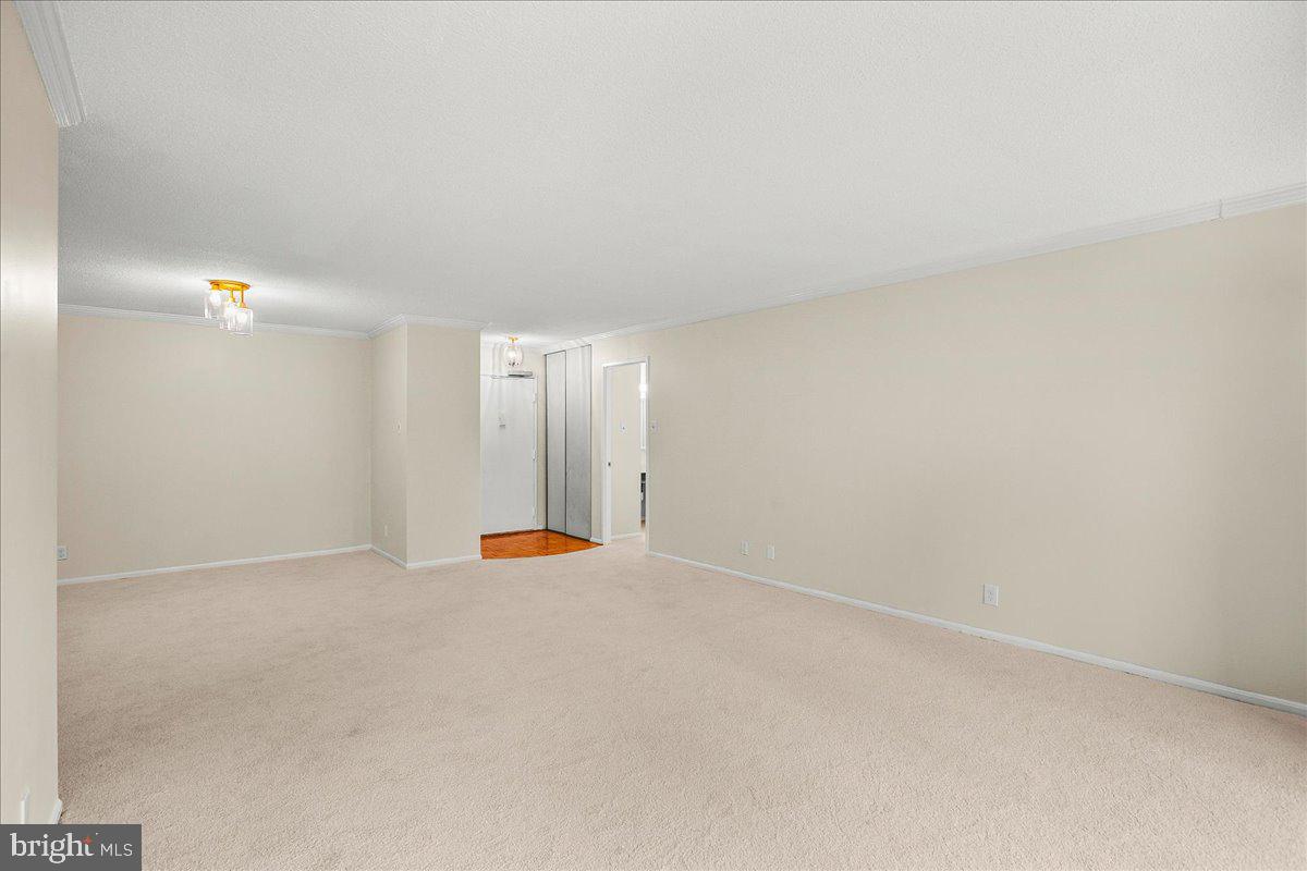 203 YOAKUM PARKWAY 519