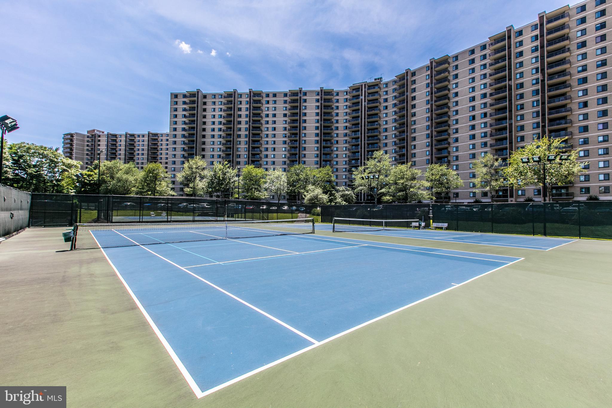 203 YOAKUM PARKWAY 519