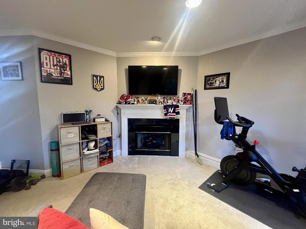 3847 WATKINS MILL DRIVE