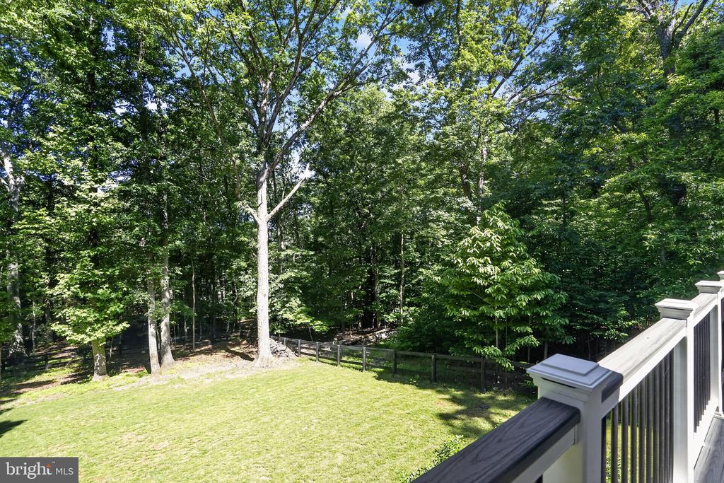 77 BALSAM LANE