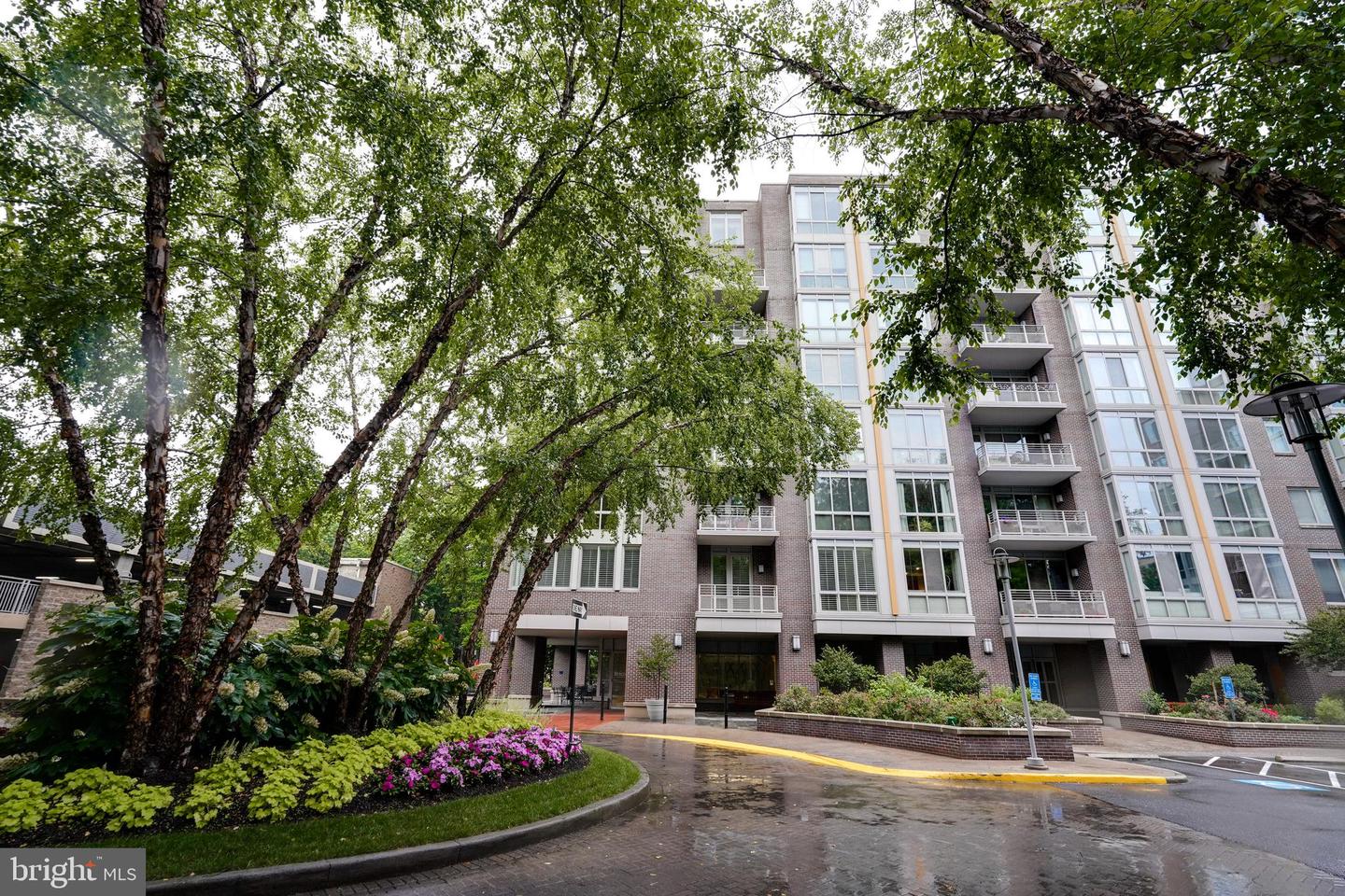 513 W Broad St #710