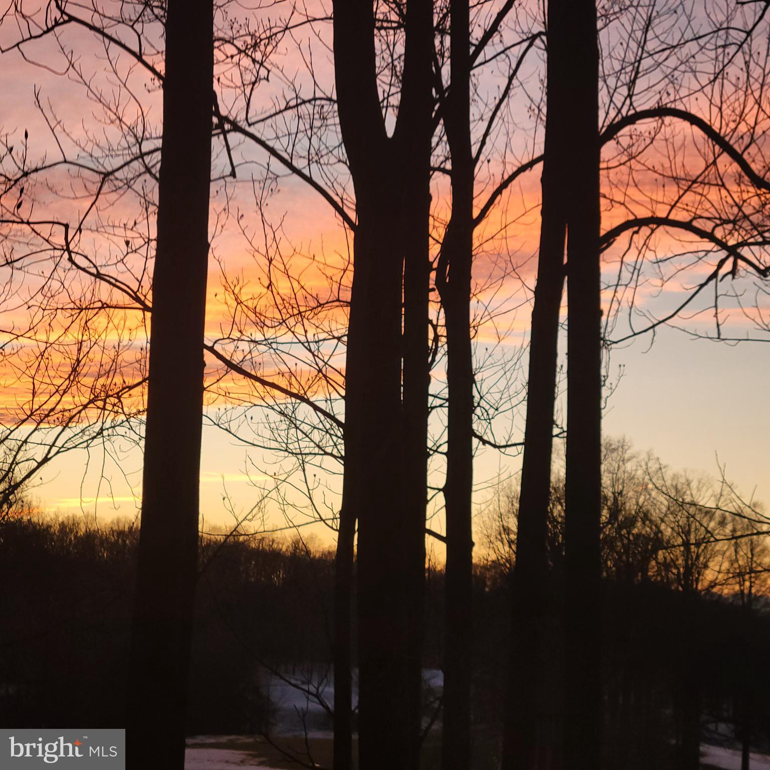 3546 SUTTON HEIGHTS CIRCLE