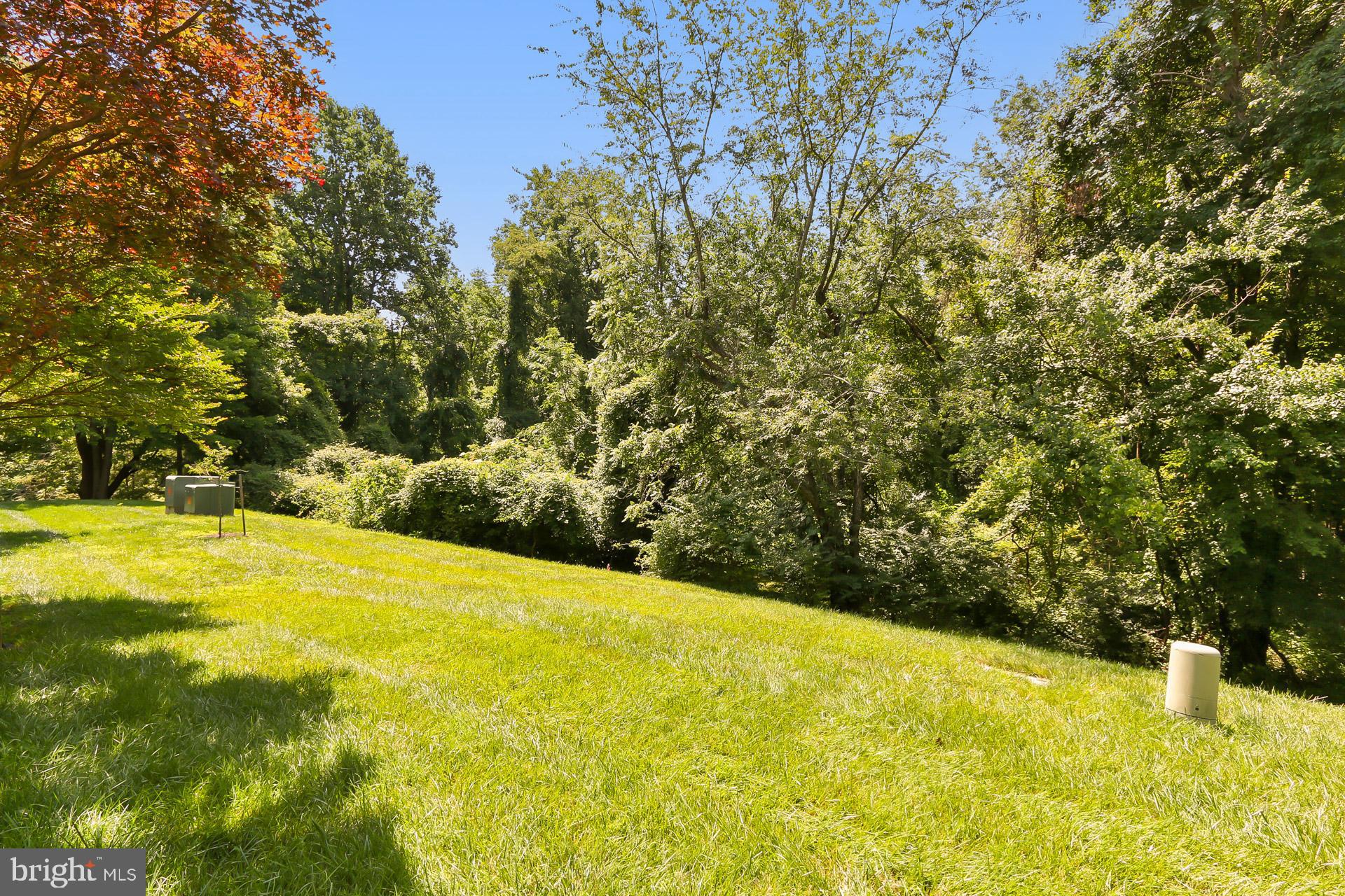 3973 Hancock Forest Trl