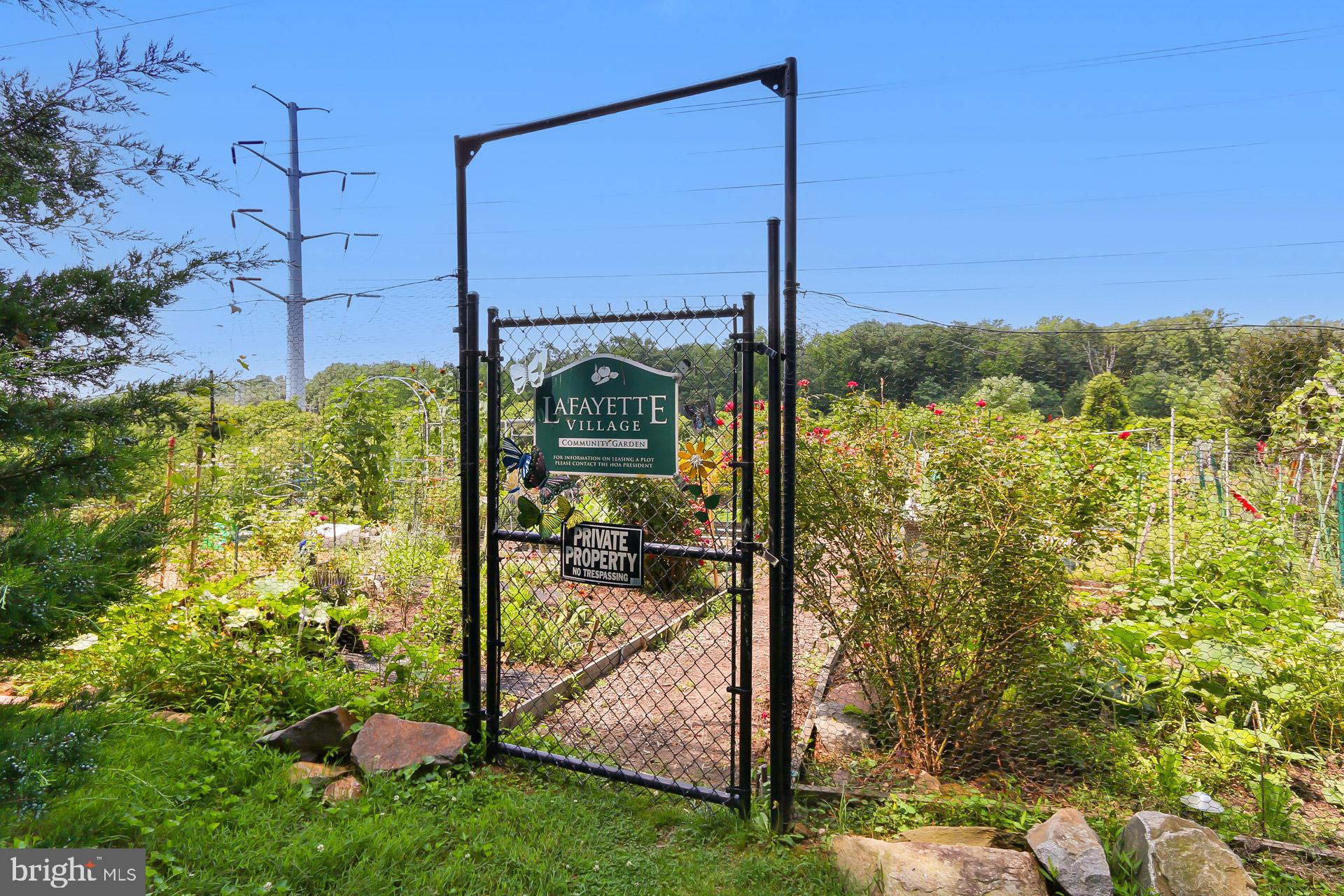 3973 Hancock Forest Trl