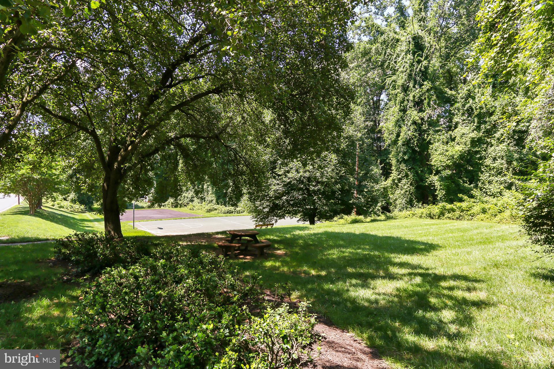 3973 Hancock Forest Trl