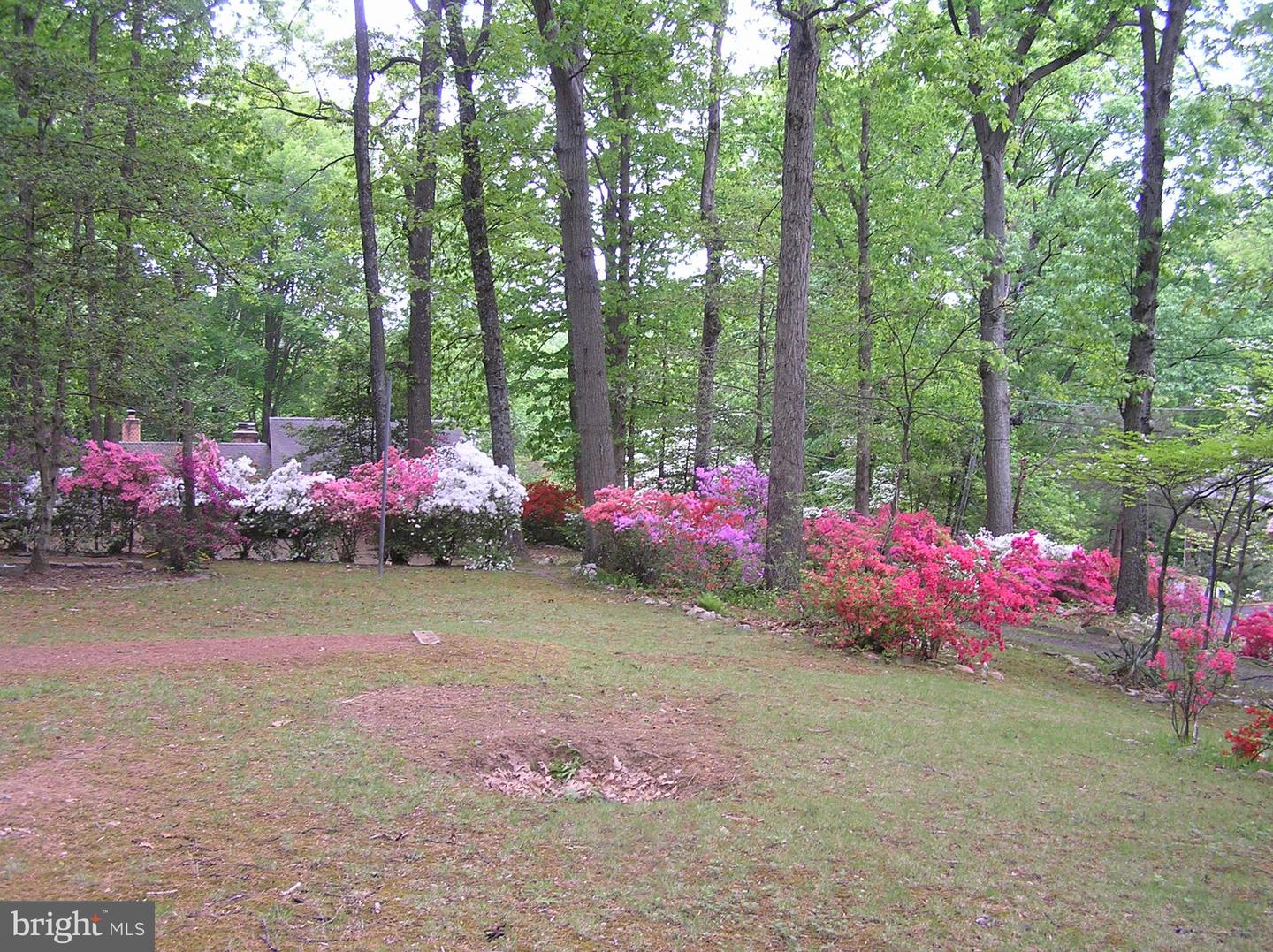 6029 Woodland Ter
